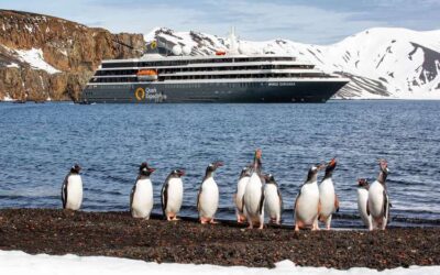 Expedition Cruising: Why Small Ships Are Leading the Future of Sustainable Travel