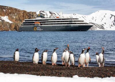 Expedition Cruising: Why Small Ships Are Leading the Future of Sustainable Travel